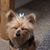 Jennifer Myers Rowe's profile image