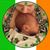 Robin L Hancock's profile image