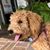 Bridget McAuley's profile image