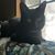 Kyeann Munier's profile image