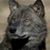 Heather McFarland's profile image