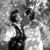 Laura Leah Holtz's profile image