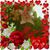 Noemi Garcia's profile image