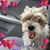 Natalie Shelton's profile image