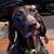 Roberta Gaide-Han's profile image