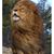 Shelia Coats's profile image