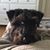 Terri Sullivan Sweeney's profile image