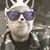Charles Harris's profile image