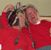 Diane Shelburne Perry's profile image
