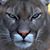 Jade Stone's profile image