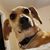 Carrie Johnson Eagleburger's profile image