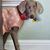 Paty Wolffberg Kessler's profile image