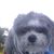 Karen Michelle Kuczer Fisher's profile image