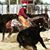 Marco Adan Lopez Corona's profile image