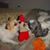 Patricia Wiksten's profile image