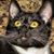 James L Matterer's profile image