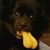 Jeff Jones's profile image