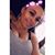 Zoee Fallert's profile image
