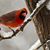 Barbara Ellis's profile image
