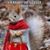 Patty Brooks Dove's profile image