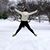 Jennifer Janesko's profile image