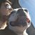 Chris Koeberle's profile image