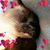 Terri Shatek's profile image