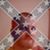 Oakley Casey Charles's profile image