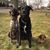 Paul Dalton's profile image