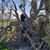 Nicci Farrell's profile image