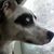 Suzanne Jones's profile image