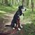 Kim Coates's profile image