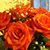Chrystal Stewart Spicer's profile image