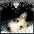 Sheri Layla Brown's profile image