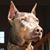 Këñný Hsozé's profile image