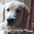 Carrie Gilly's profile image