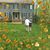Susana Alcorn's profile image