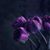 Andrea Jacobs's profile image