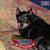 Phyllis Tackett's profile image