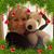 Suzanne R Emerson's profile image