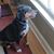 Karen Ziemianski's profile image