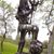 Dona Mullins's profile image