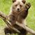 Jan Lackie's profile image