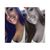 Sami Tibbitts's profile image