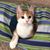 Carol Tuft's profile image