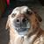 Kurtis Sherer's profile image