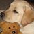 Susan Hare Brown's profile image