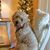 Cecilia F Peterkin's profile image