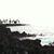Lisa Sidow Towe's profile image