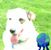 Christine E. DiPietrantonio's profile image